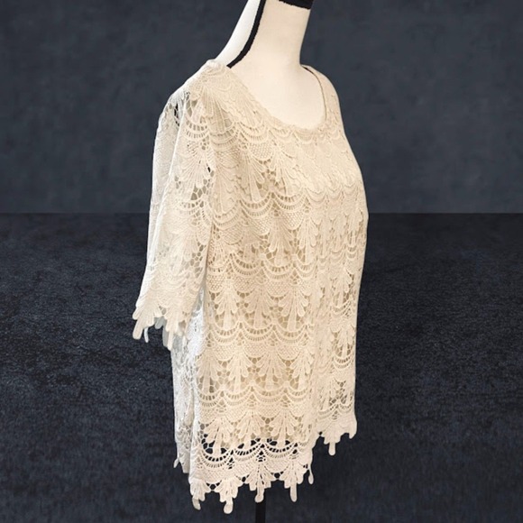 Adiva Scalloped Lace Top Short Sleeve in Ivory 1X - Picture 3 of 8